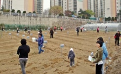 아산-주말농장 확대 운영
