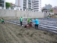 노는 땅 일궈 이웃 도와요