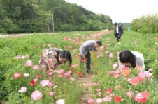 찬란한 백제문화 고스란히