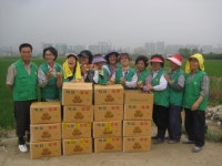 노는땅에 심은 감자로 이웃도와요