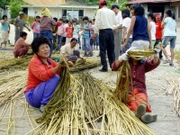 피서객 잡아라 특명