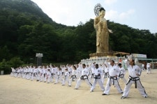 법주사 미륵불상과 태∼권