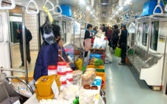 팔도 농산물 직거래장터 대박