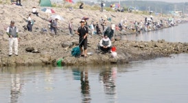 황금어장 태안반도강태공들 북적북적