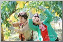 햇사레 복숭아따기 농촌체험행사