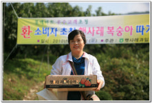 햇사레 복숭아따기 농촌체험행사