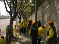엑스포 손님맞이 거리청소