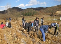 농가 일손 도와 칭찬세례