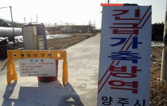 양주.연천 돼지1만8천두 살처분..긴급 방역