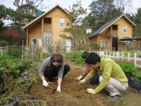 다큐 5都 2村 행복찾기 방영