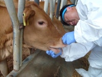 구제역·AI차단 바쁘다 바빠