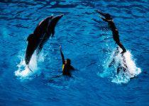 제7회 충청북도사진대전람회