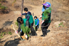 봉양읍 삼거리에서 식목일 행사