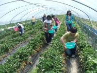 친환경 농촌체험 인기만점