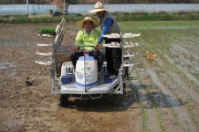 음성 맹동면에서 올 첫 모내기