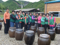 생활세제로 인한 오염 발효액으로 막는다