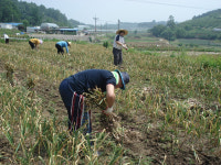 농번기 농가에 사랑 손길