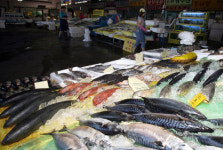 생선도 금값… 장보기 겁난다