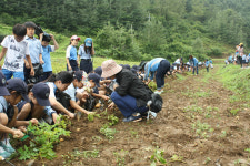 삼둥지 체험농장 인기 쑥쑥
