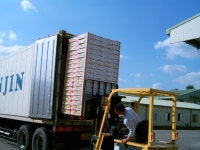 천안 햇배 13.6t 美 수출길 올라