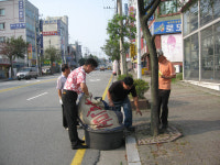 흥덕구, 불법광고물과의 전쟁