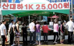 대하 맛보러 오세요