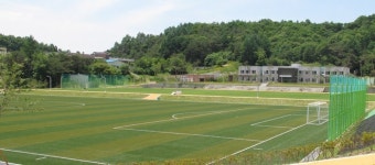 스포츠토토 특혜잔치 점입가경