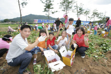 천등산 고구마 맛 보러오세요