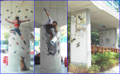 대전 한남고가차도에 등장한 착시그림