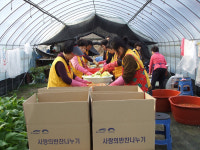 청주·청원 곳곳 김치 선행 잇따라