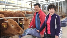 품질 고급화로 승부 … 수입肉 물렀거라