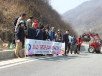 마을 진입로에 감나무 식재