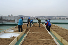 옥상에 사랑의 텃밭 조성