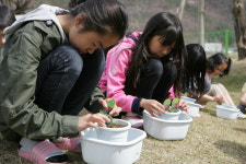 녹색씨앗 심어요