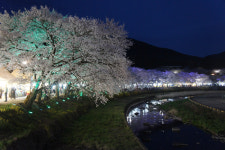수안보온천제 성황리 폐막