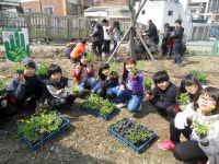 손바닥 공원 가꾸기 우리 손으로
