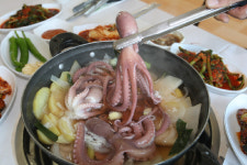 태안반도 별미 세발낙지, 초여름 입맛 잡는다