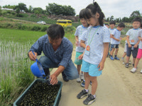 우렁이로 농사도 짓는대요