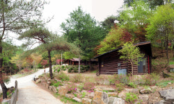 제천 박달재 자연휴양림 문 활짝