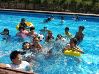 보은 알프스휴양림 인기몰이