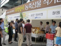 보은 농산물 알리기 활발