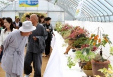 [청원생명축제 화보]이건 무슨 꽃이지?