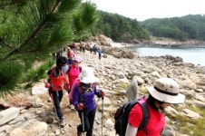 솔향기길 따라 가을만끽