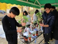 실내정원 만들며 창의력 쑥쑥