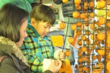 2012 영동곶감축제 준비 박차