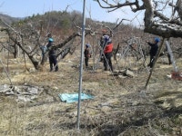 상부상조 이웃사랑 눈길