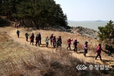 솔향따라 해변을 거닐다