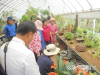 야생화 향기에 흠뻑 취해볼까?