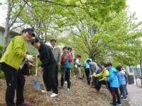 무궁화 사랑이 꽃피는 마을