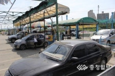 꽃가루에 덮인 봄 …창문열기 겁나네